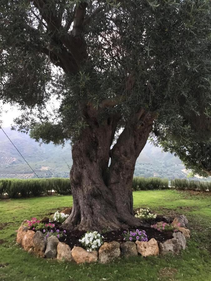 Augusta Tatil Evi *