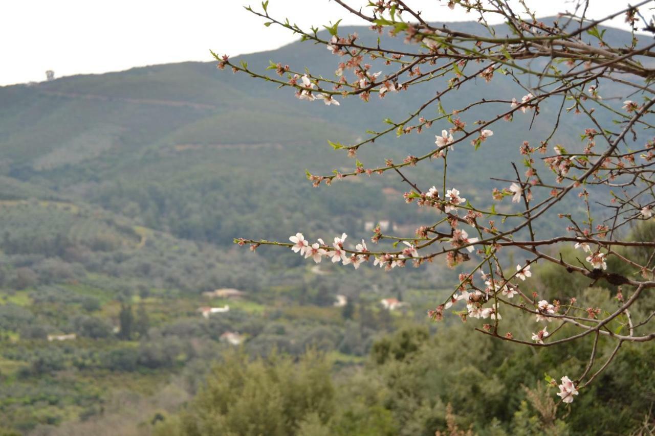 Augusta Tatil Evi *